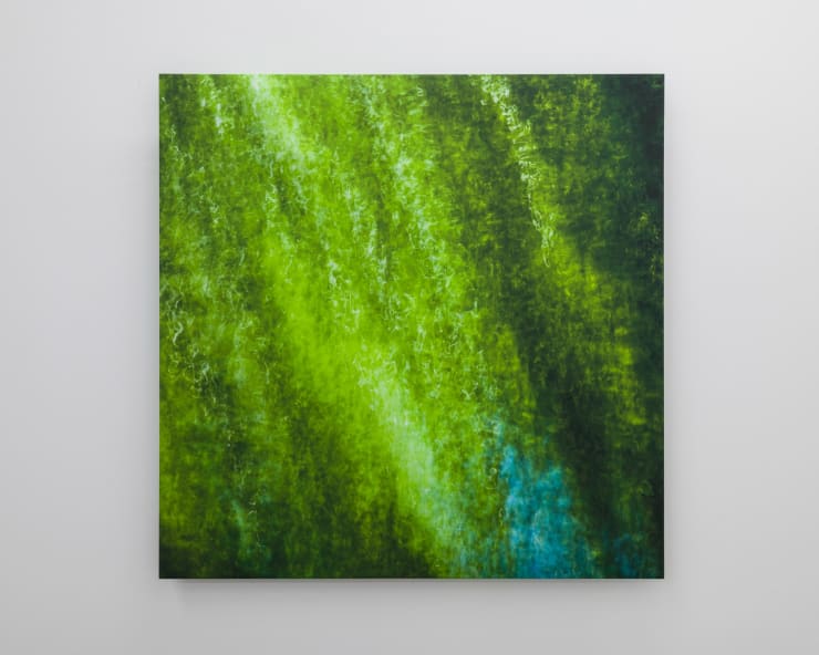 Elizabeth THOMSON, My Titirangi Years - Green light, 2022