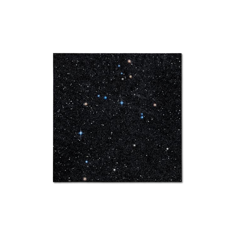 Reuben Paterson, Taniwha (Constellation Draco), 2025