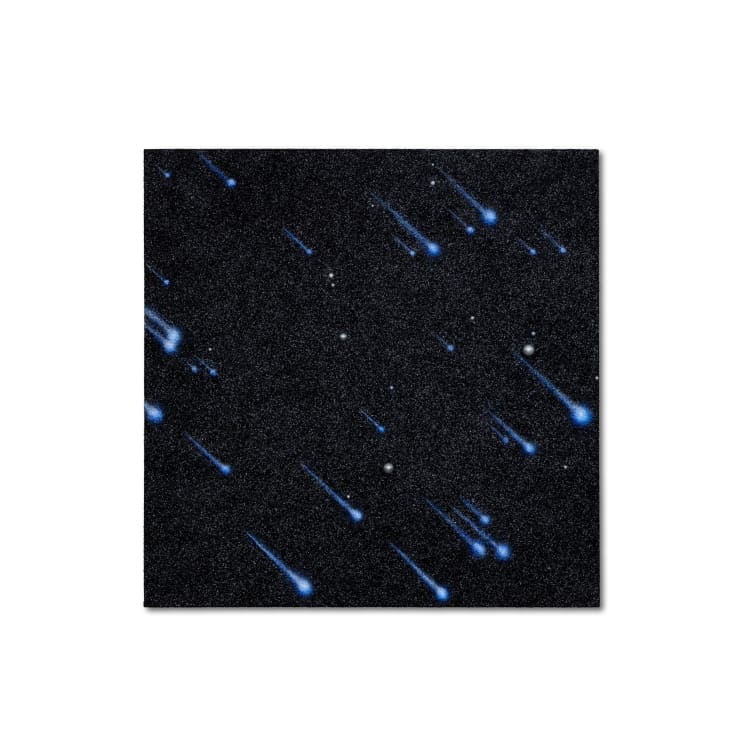 Reuben Paterson, Half Alone (Alpha Centaurids Meteor Shower, February 6, Waitangi Day, 2025 in Constellation Centaurus), 2025