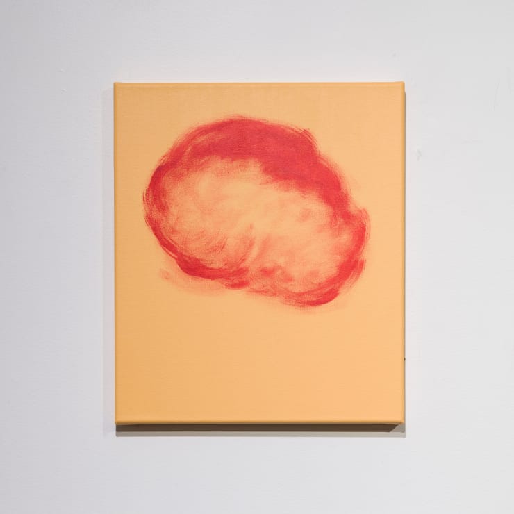 Salome Tanuvasa, Soft, 2024