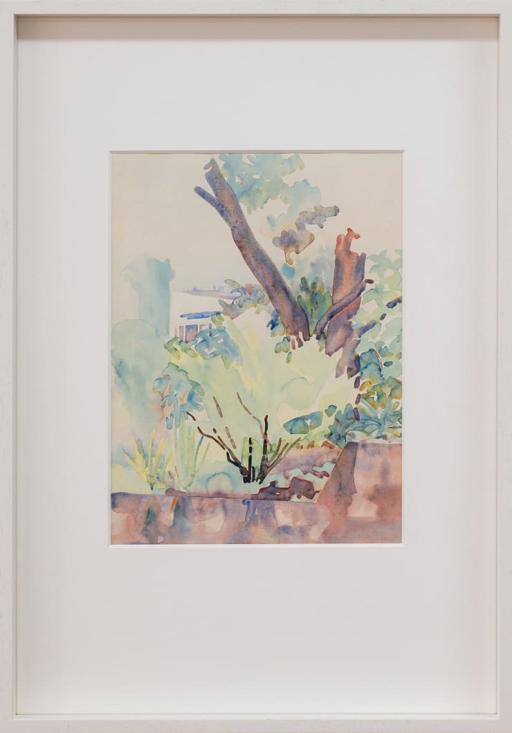 Rita Angus, Tree Study, Thorndon, n.d.