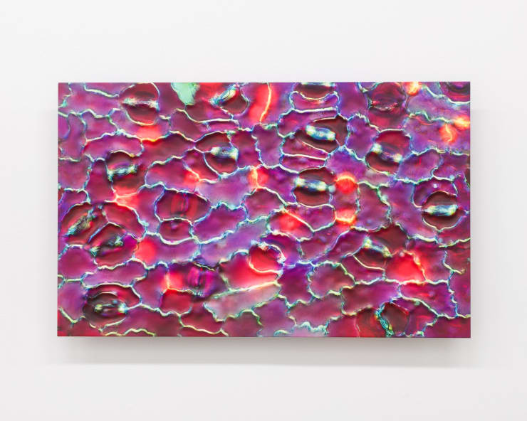 Elizabeth THOMSON, Hello Sweet Pea II, 2024