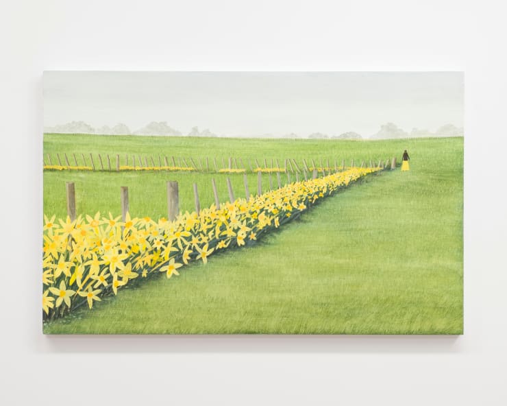 Aroha Gossage, Nanas daffodils, 2024