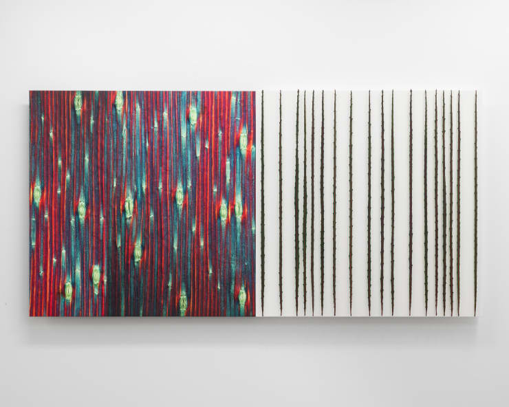 Elizabeth THOMSON, Fisher Lodge, Little Huia, 2024