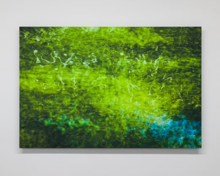 Elizabeth THOMSON, My Titirangi Years – Still and Always, for Yves Tanguy, 2022