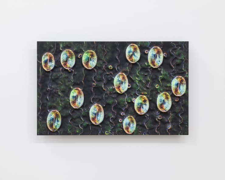 Elizabeth THOMSON, Distributed Being, after Brian Eno, 2024