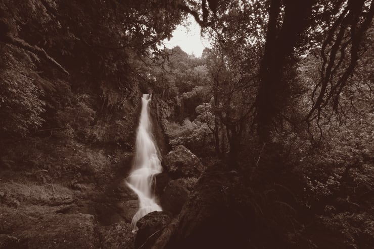 Wayne Barrar, From the Banks of Waipahatu Toward Pouriwai Falls, The Catlins 2013, 2013