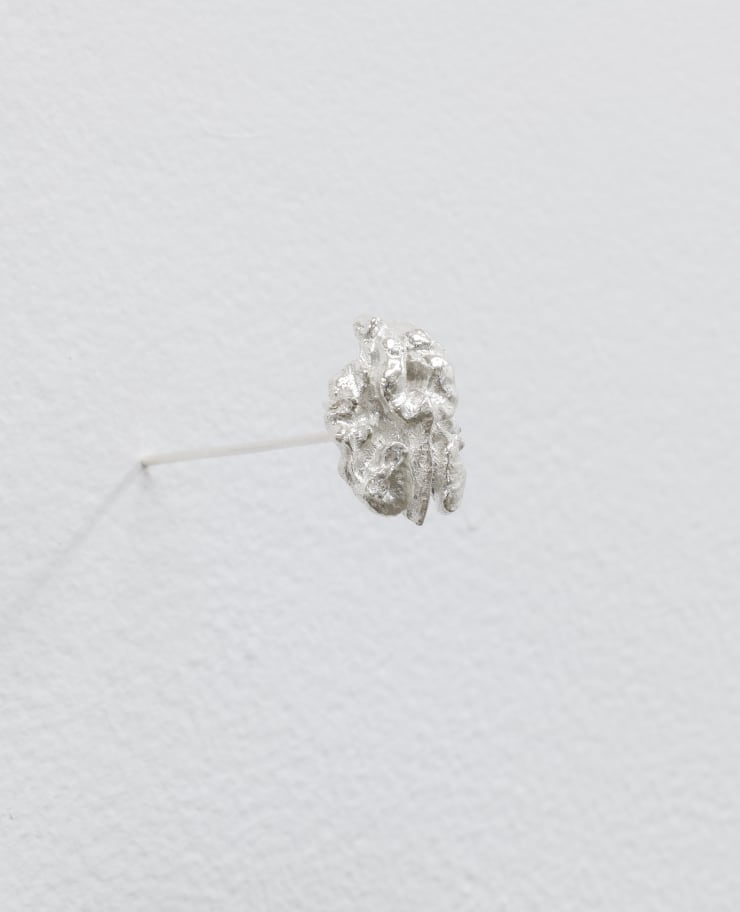 Turumeke Harrington, A whole half (Seeds of Rangiātea), 2024