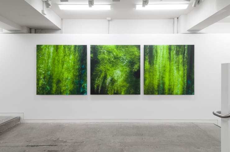 Elizabeth THOMSON, Still and Always, 2022-24