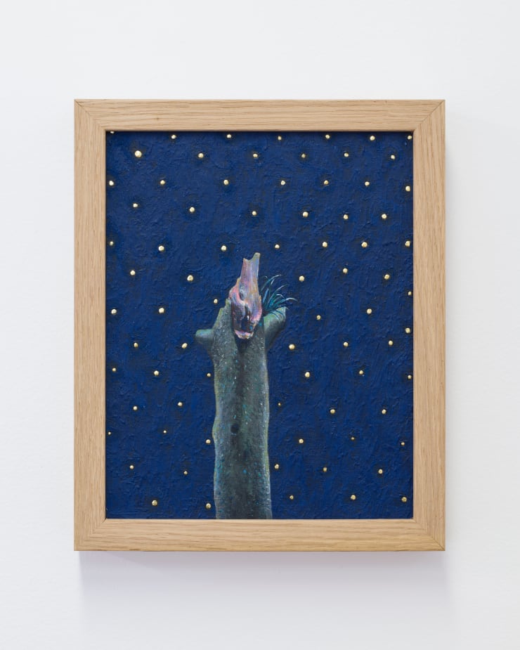 Gavin Chai, Stars over solitary tree, 2024