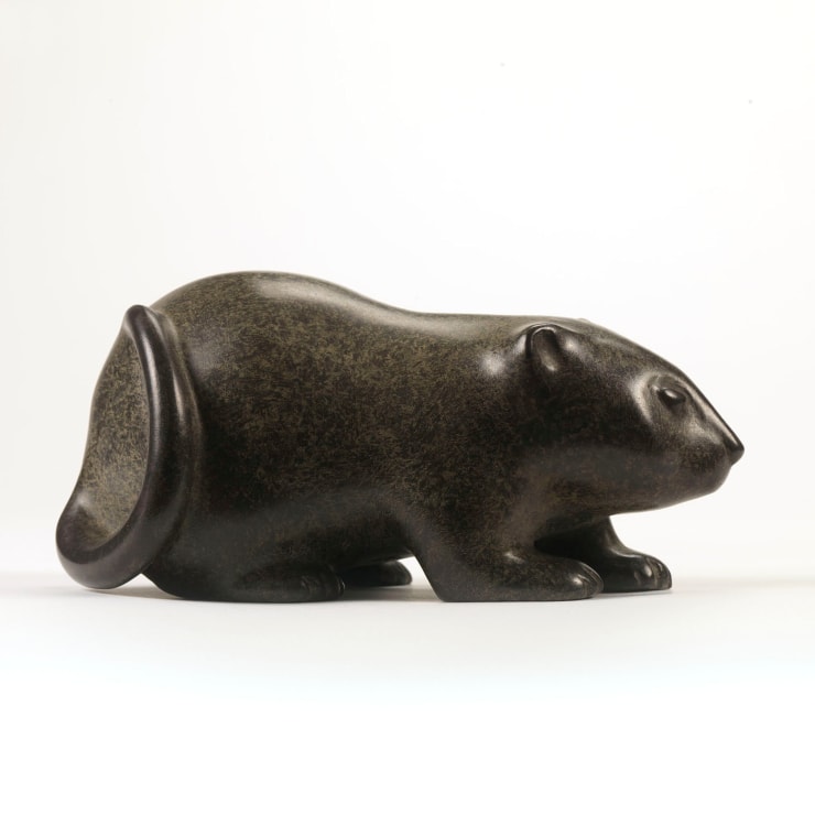 Anita Mandl, Young Vole, c.2007