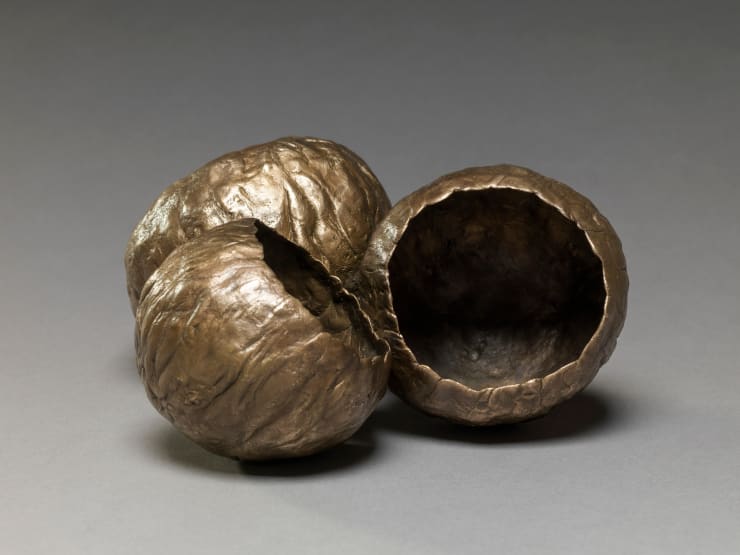 Susie MacMurray, Carapace VI, 2024