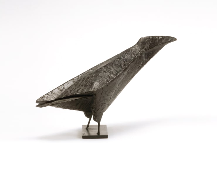 Terence Coventry, Rook, 2002