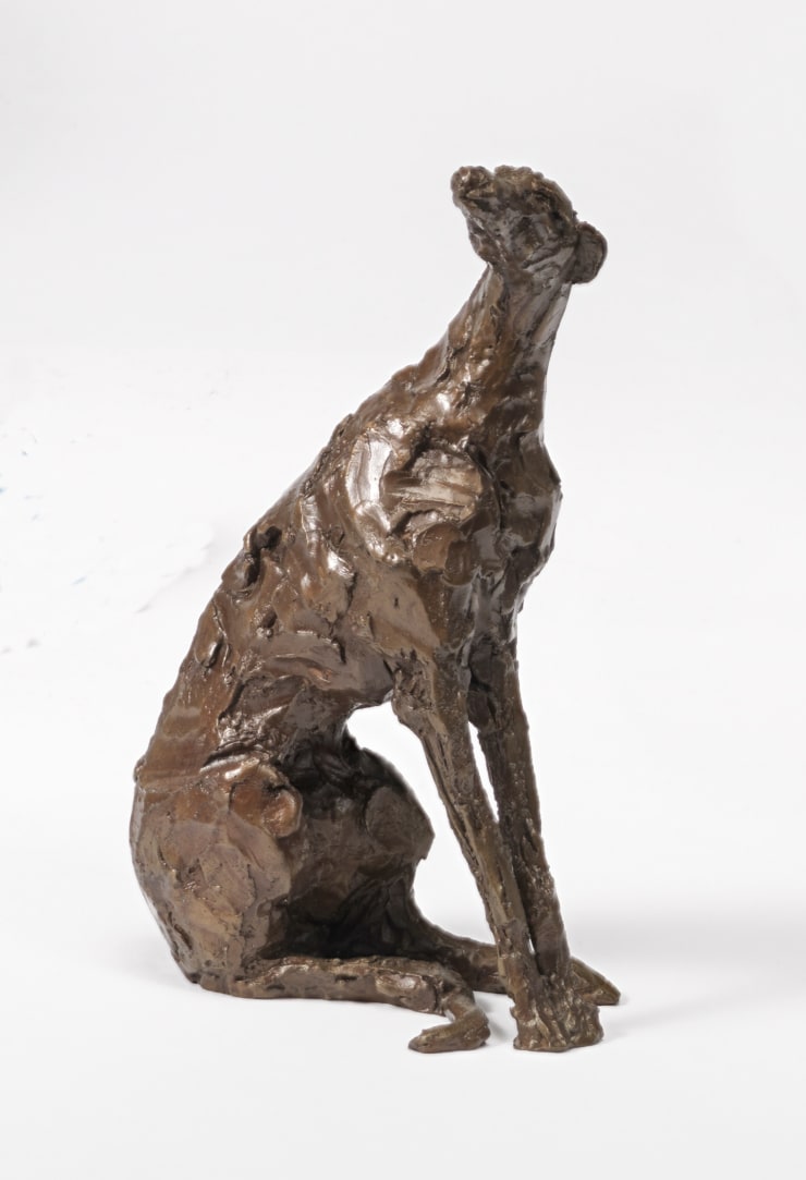 Susan Bacon Hound, 2023