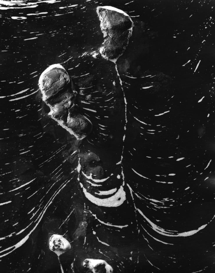 Zach Weston, Tide Pool Study 2, 2020