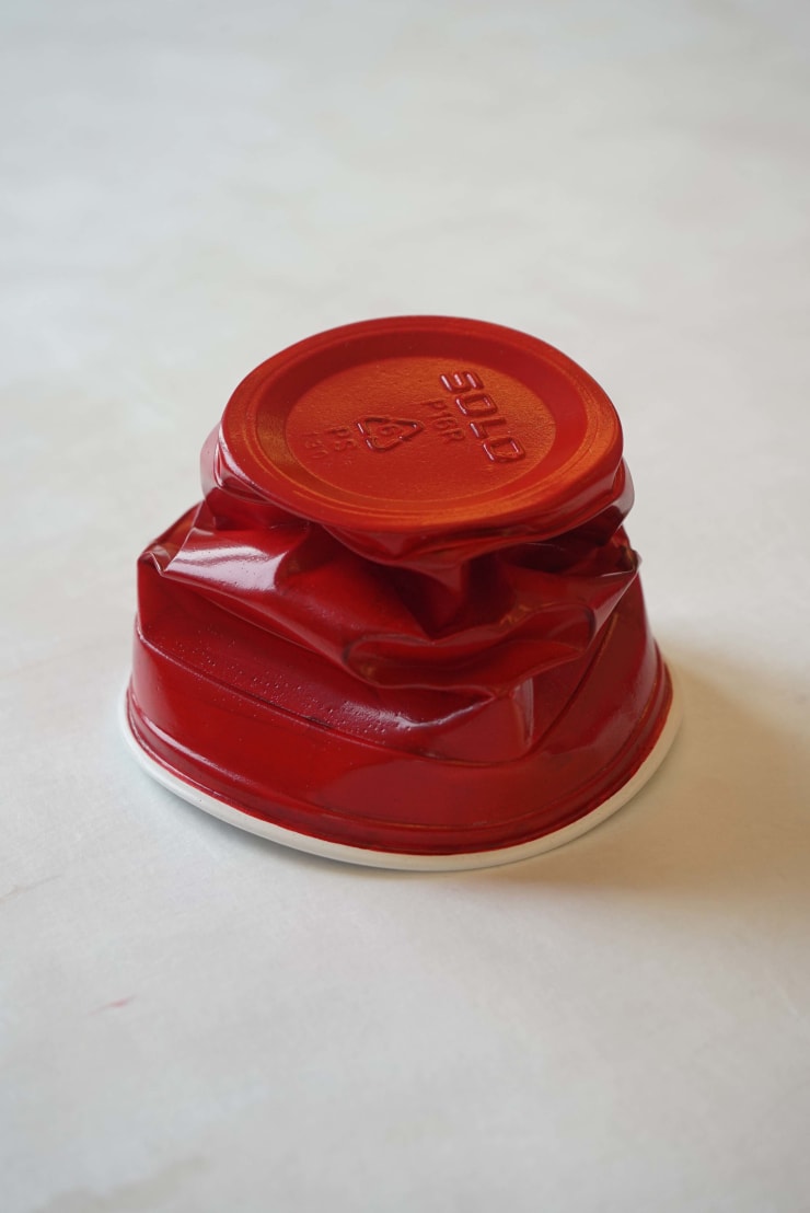 Paula Crown, Pre Med 1, 2017