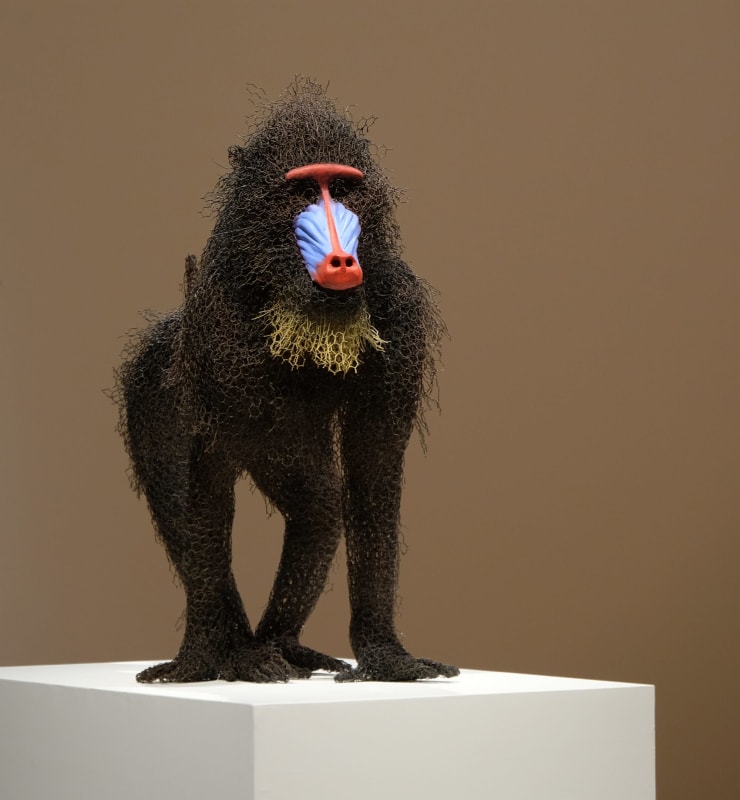 Kendra Haste MRSS, Mandrill, 2001
