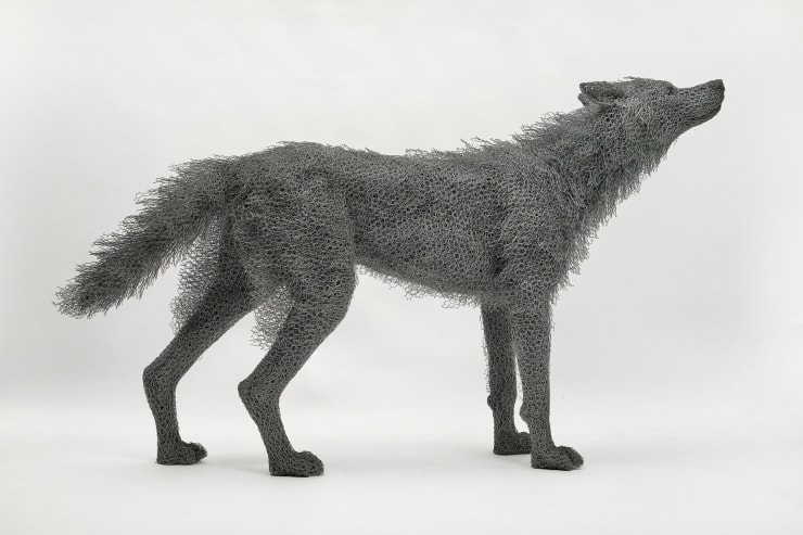 Kendra Haste MRSS, Alpha Male Wolf, 2024