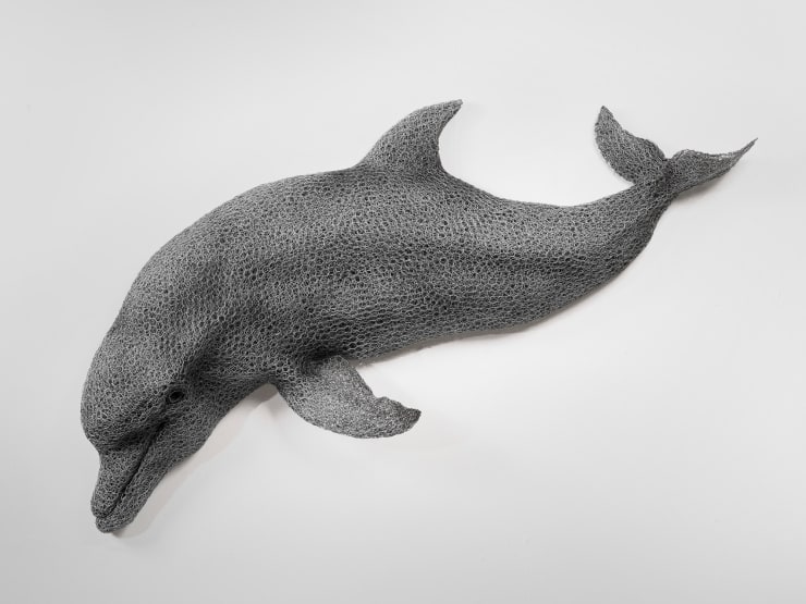 Kendra Haste MRSS, Bottlenose Dolphin, 2014