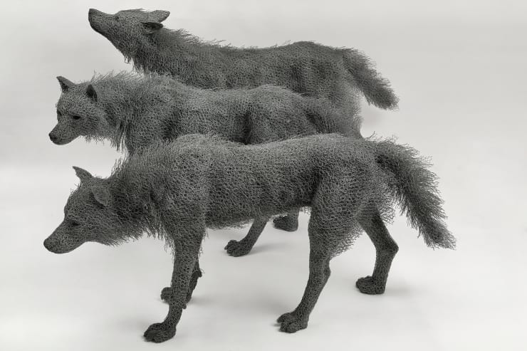 Kendra Haste MRSS, Wolf Pack, 2024