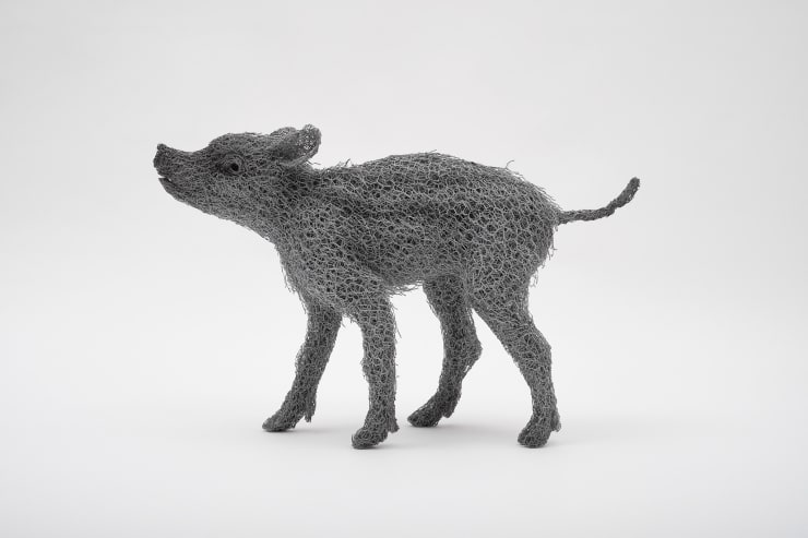 Kendra Haste MRSS, Boarlet, 2025