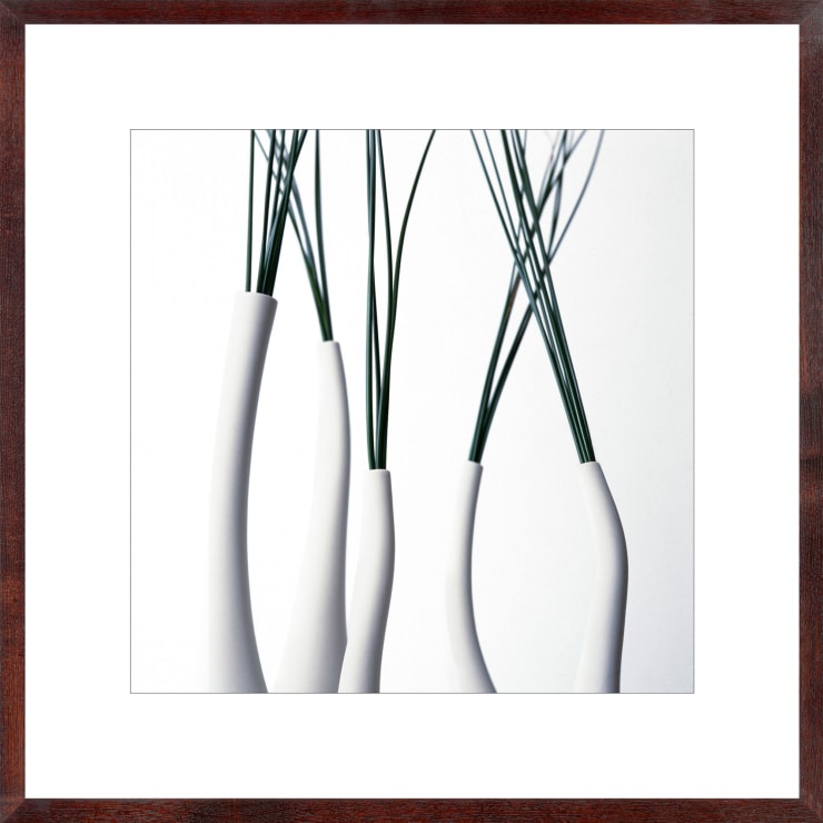 Vivienne Foley (Photography), Sedge in Funnel Neck Vases, 1996