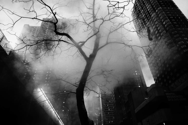 PHIL PENMAN, 42ND STREET PROJECT, STEAM TREE NEW YORK, 2017