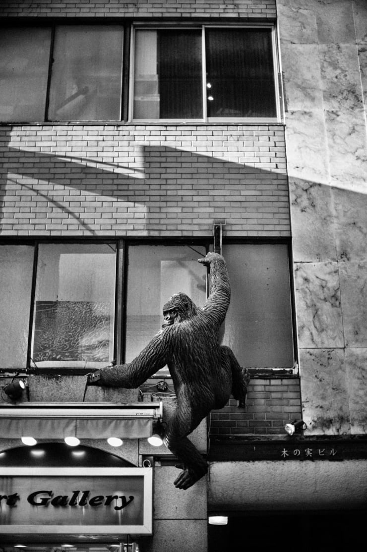 PHIL PENMAN, Tokyo Series 034, 2023