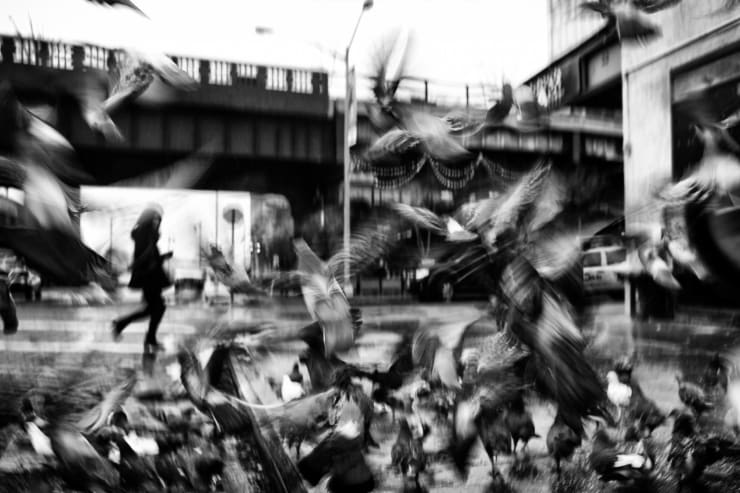 PHIL PENMAN, SKY RATS, NEW YORK, 2017