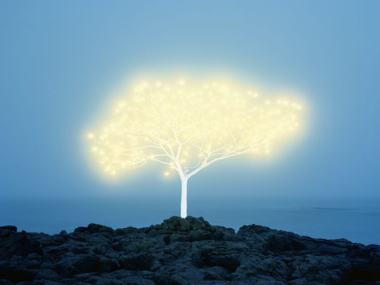 Tree of Life in Island 5-1-4 (ed 1/10)