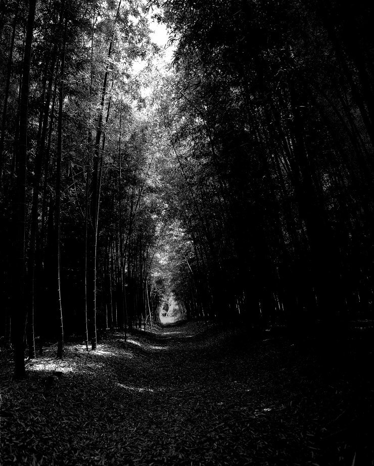 Choi Soowhan Emptiness - Bamboo Grove 02, 2019 LED Laminate 190 x 152.5 x 10 cm 75 x 60 x 4 in