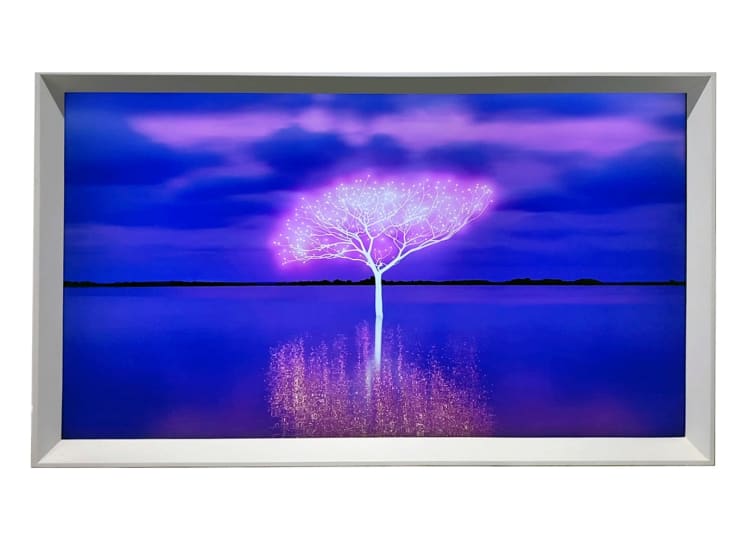 Tree of Life on the Water