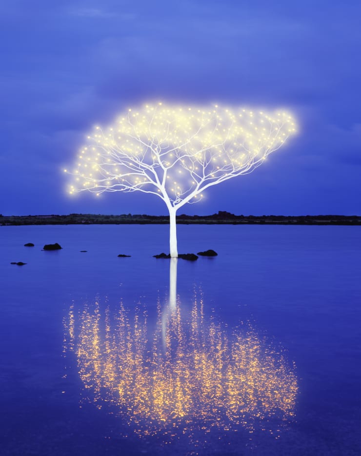Tree of Life in Island 5-4-10 (ed 1/10)