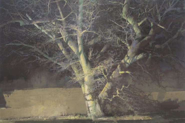 Matteo Massagrande, Il mio Albero, 2014