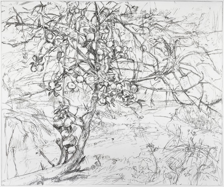 Clive Head, Apple Vale, 2020