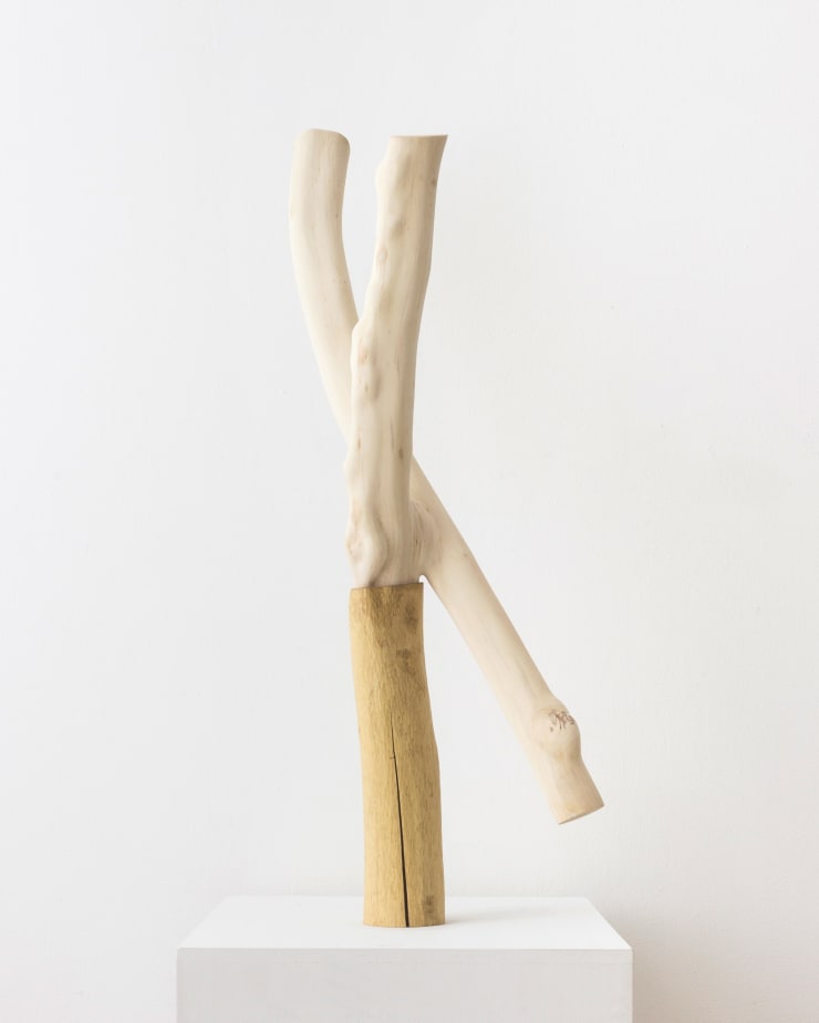 Baptiste Lanne, Apex, 2023