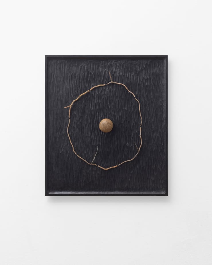 Baptiste Lanne, Météore, 2024