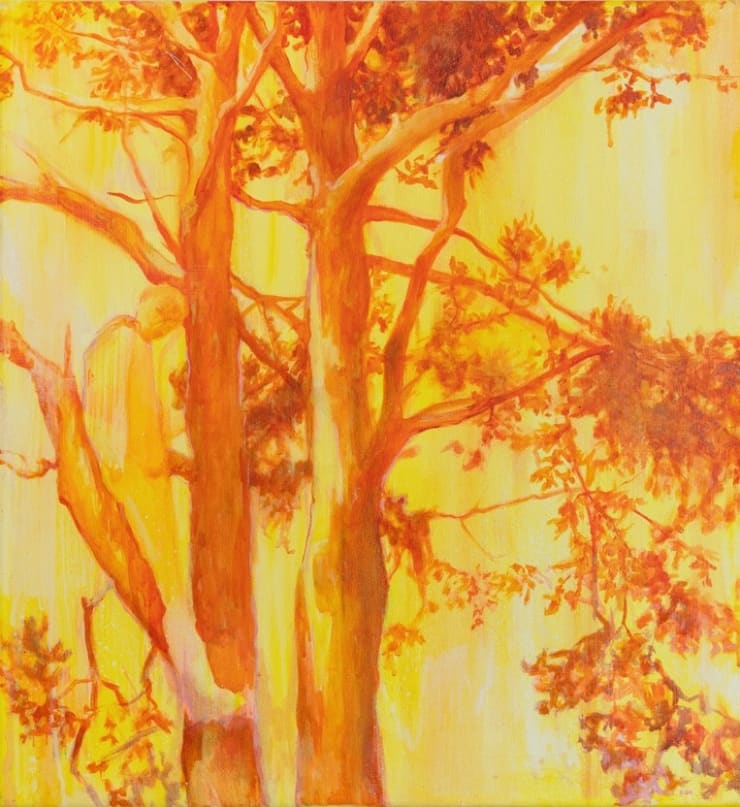 Oda Tungodden, Small Sun, 2024