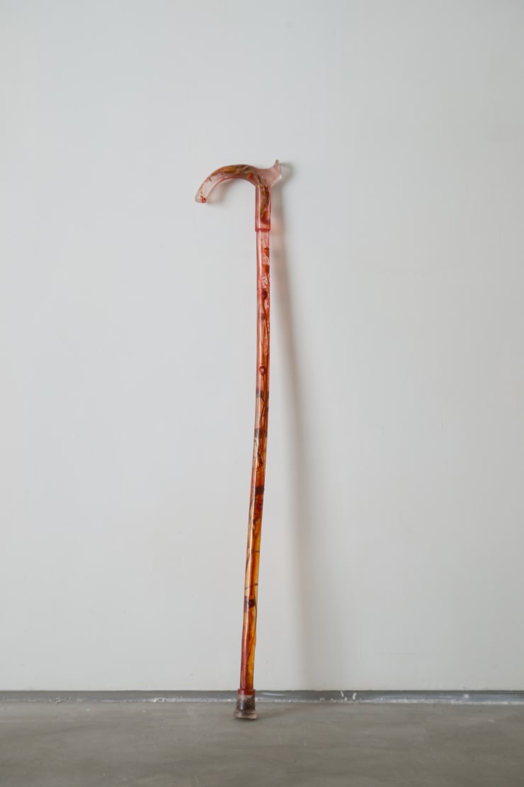Maria Kulikovska, Liminal Botanical Support Apparatus: Cane No. 1, 2025