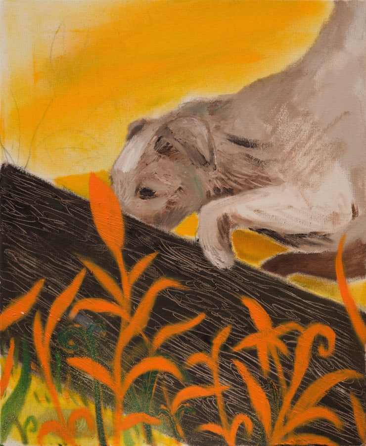 Kateřina Ondrušková, Our dog, 2024