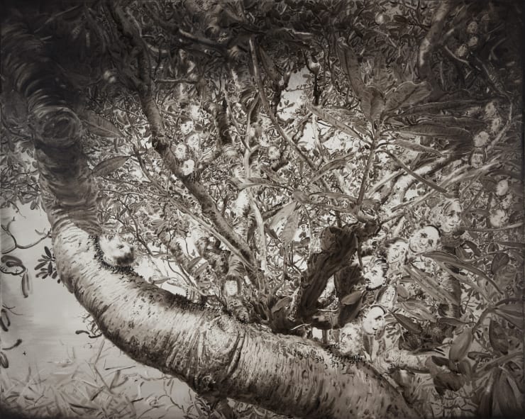 Lu Chao, Black Fruit, 2017