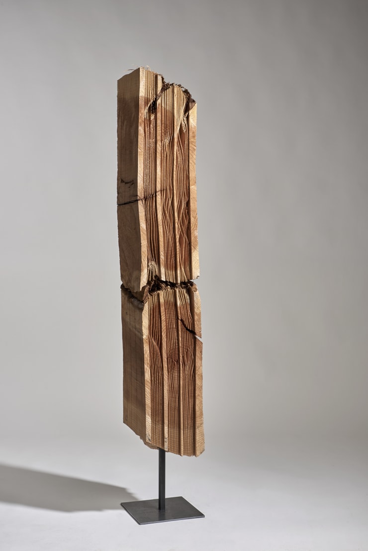 Herbert Golser, Stripes No Stars, 2020