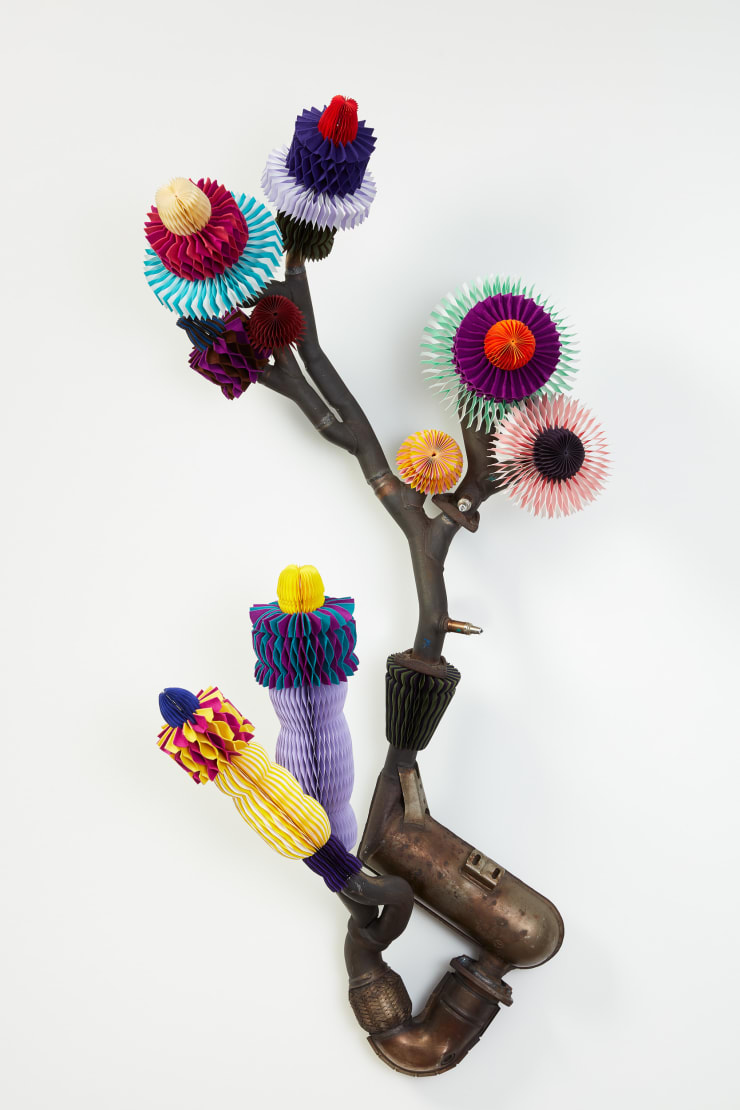 Keita Miyazaki, Systematic Order, 2017
