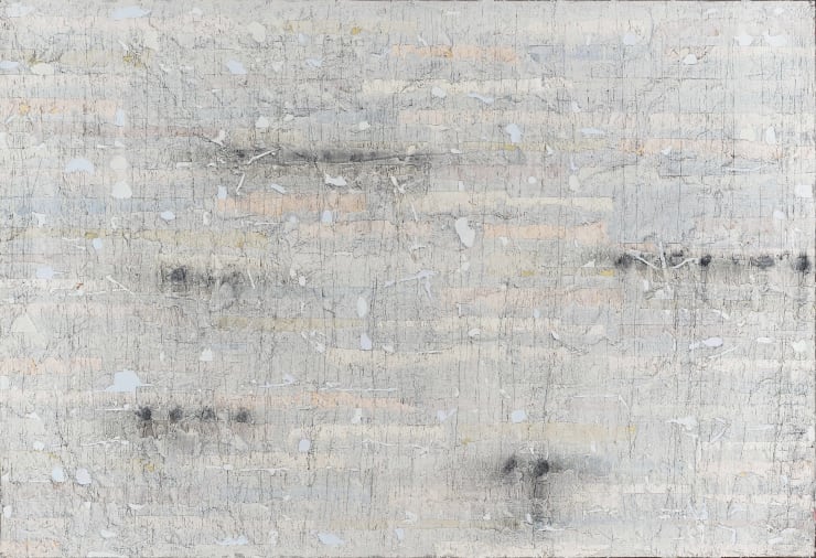 Enrique Brinkmann, Memoria difusa, 2011