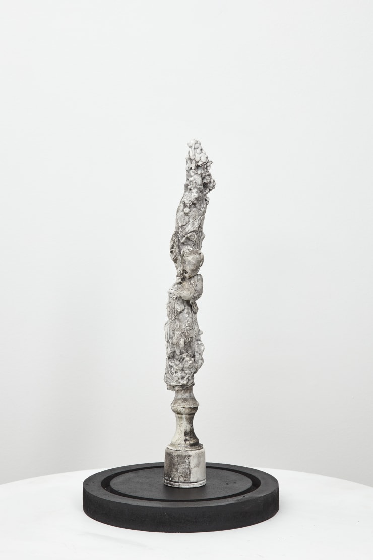 Nicola Samori, Lieve Legno, 2017