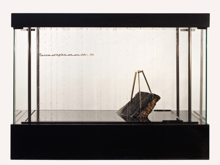 Sebastián Gordín, Never trust an artist, 2016