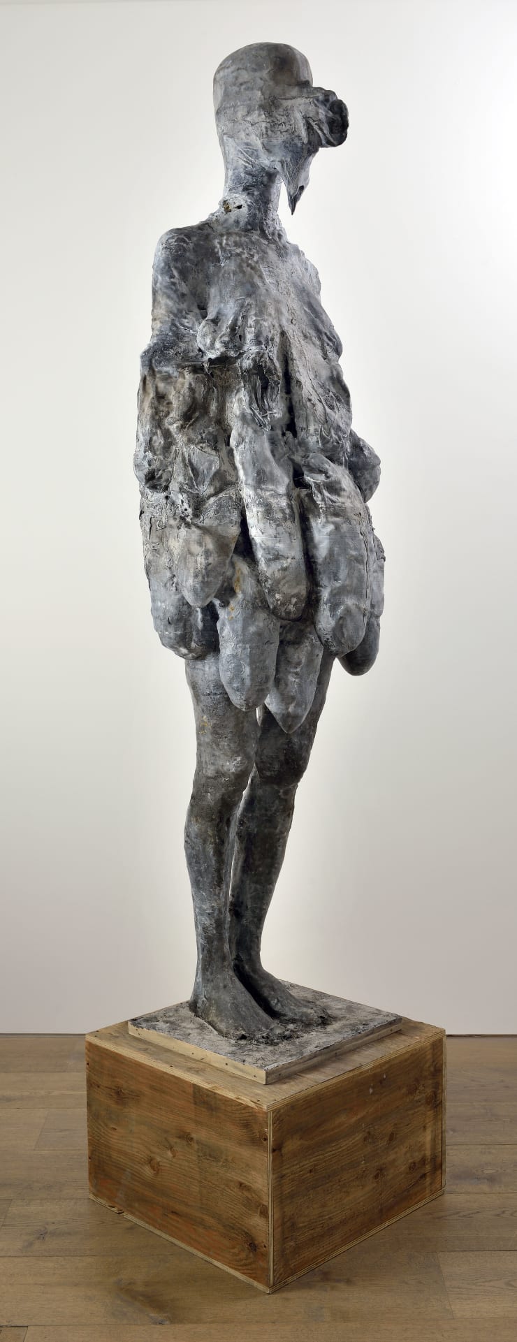 Nicola Samori, La naissance des seins, 2014