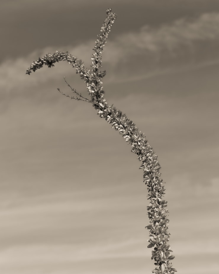 Ruben van Schalm, A Dream Bends