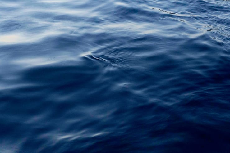 Ruben van Schalm, Placid