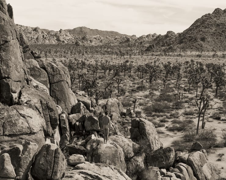 Ruben van Schalm, Into the Vast